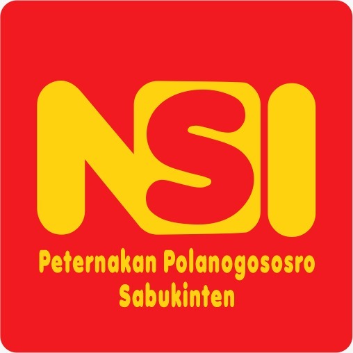 NSI